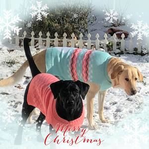 Meet your Posher, Jenny